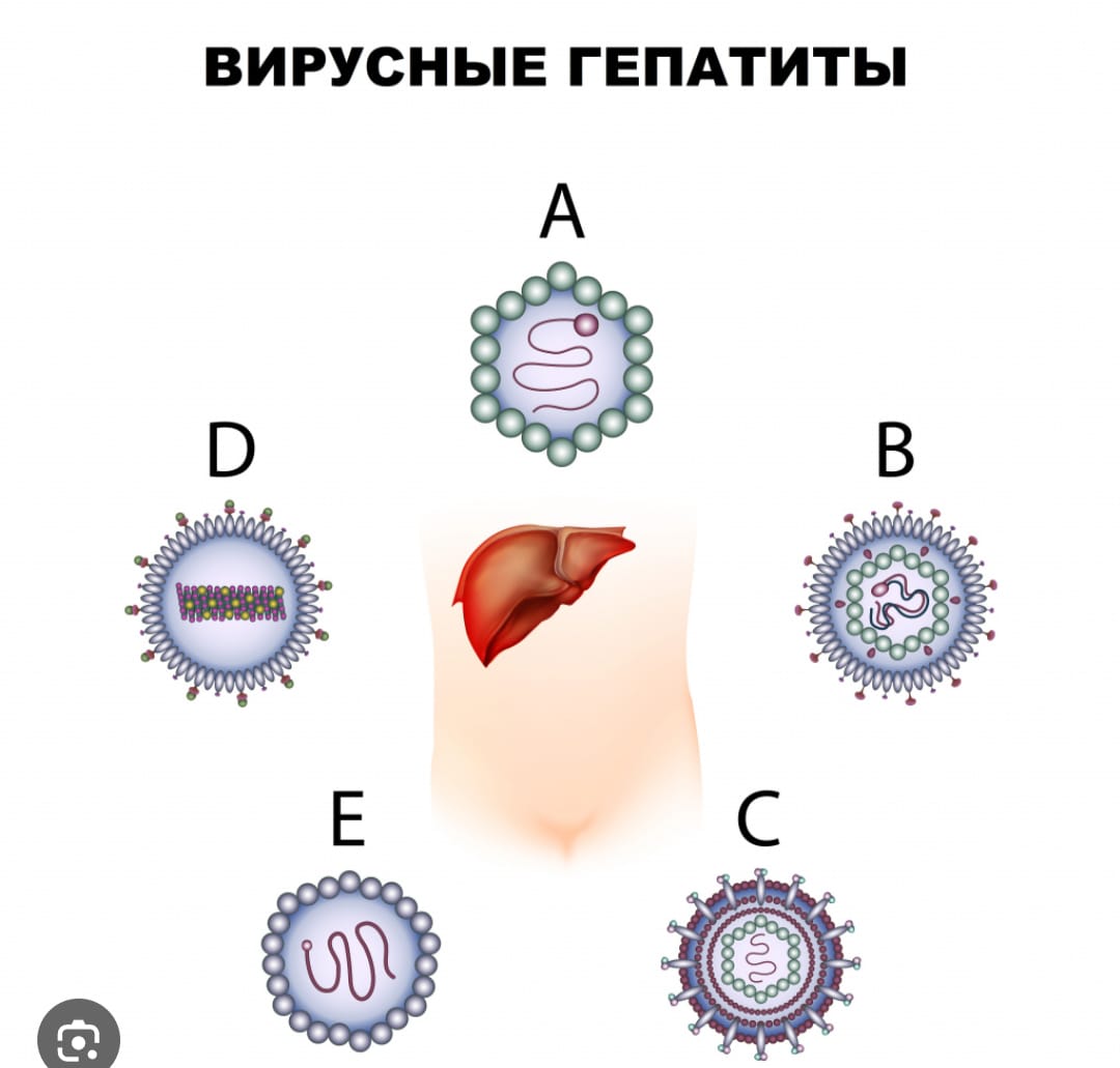 Объявления, события, мероприятия